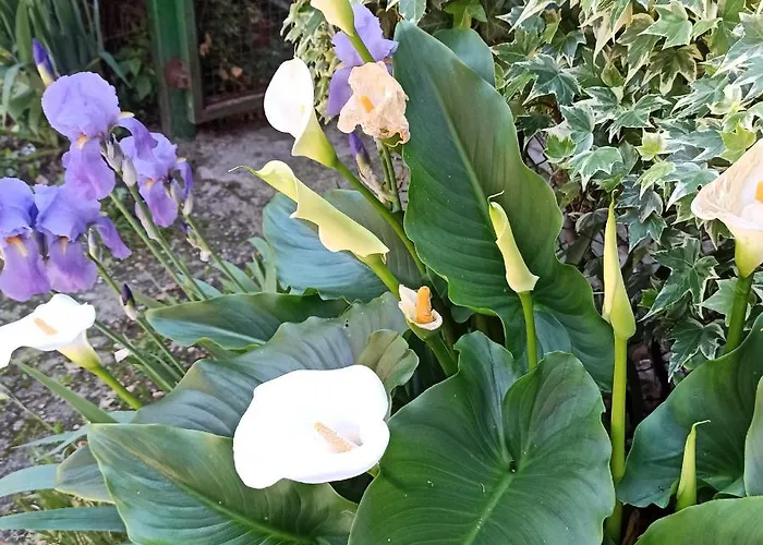 Hotell Casa Mandelli